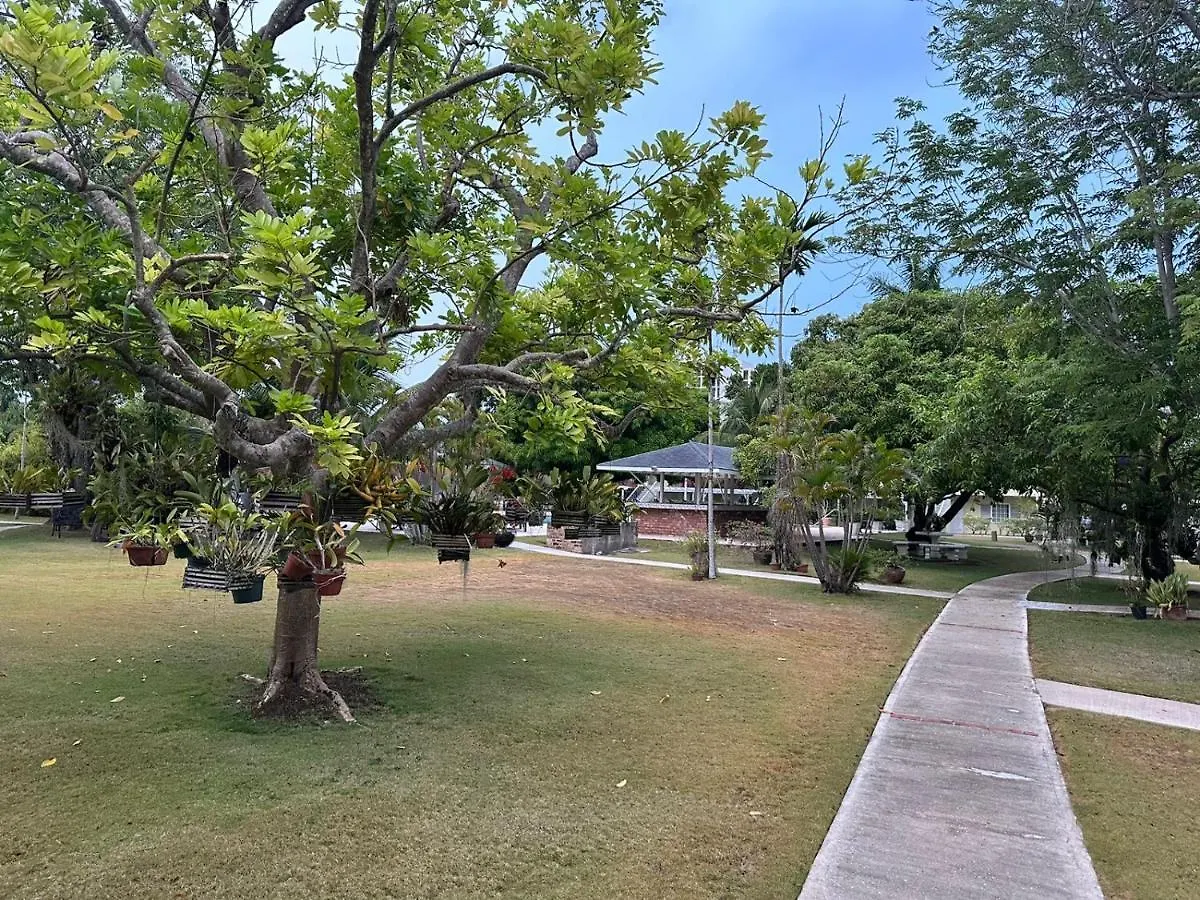 Serenity On The Bay Montego Bay Lejlighed