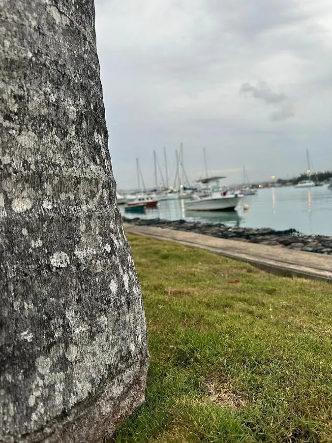 Lejlighed Serenity On The Bay Montego Bay